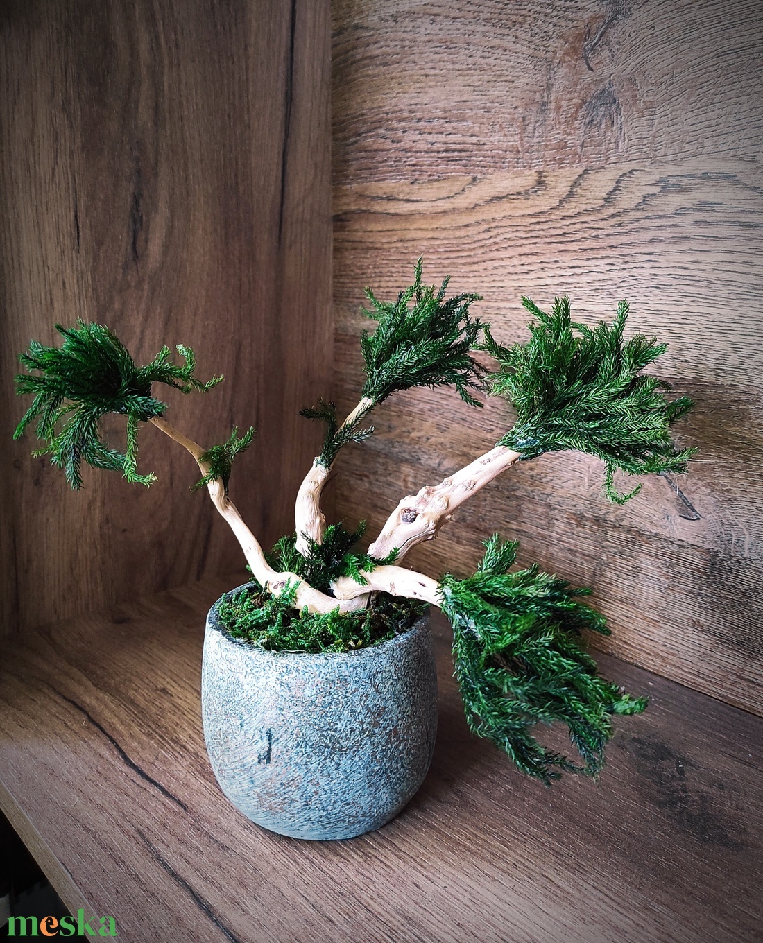 Bonsai fa tartósított mohákkal - otthon & életmód - dekoráció - asztal és polc dekoráció - bonsai - Meska.hu