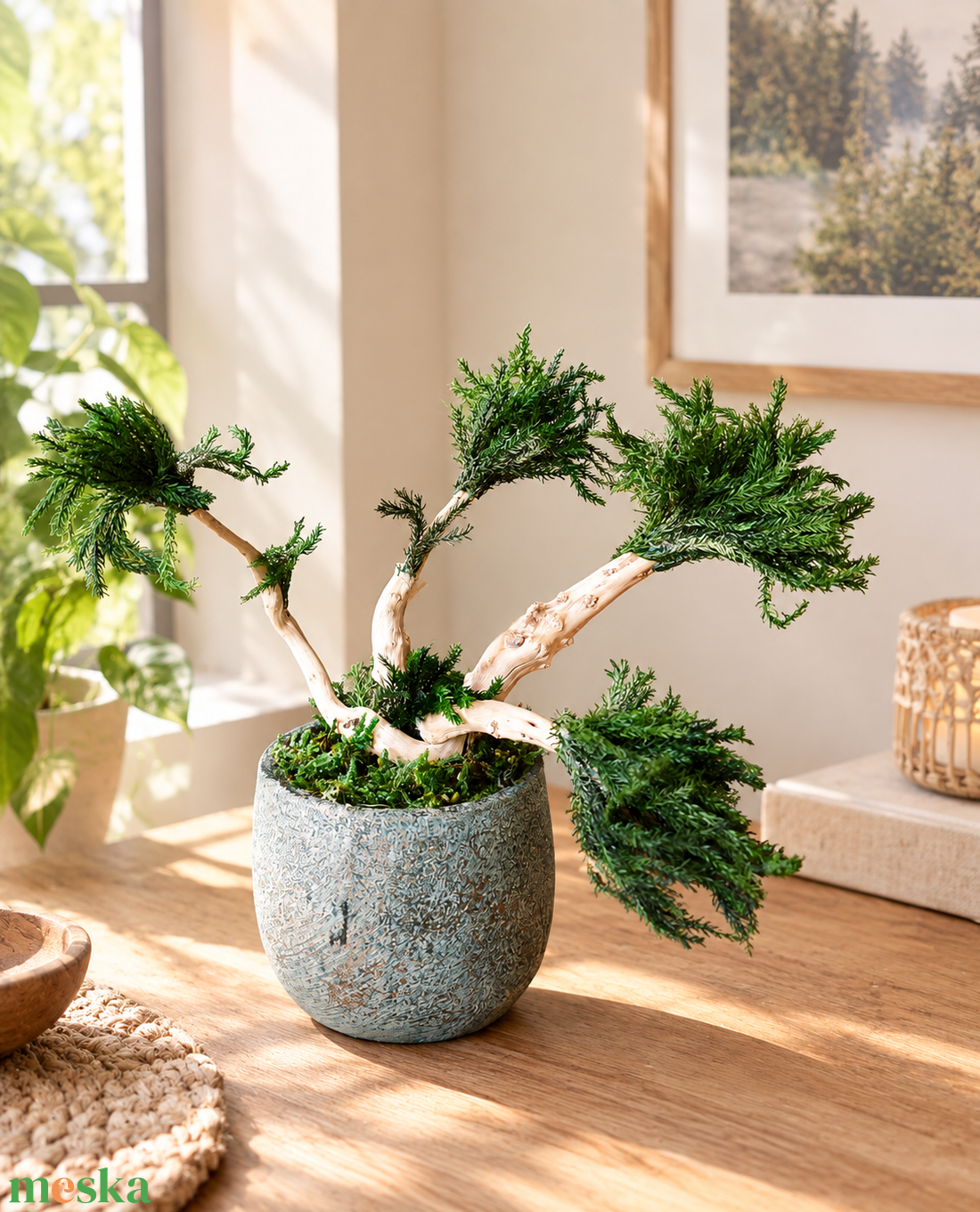 Bonsai fa tartósított mohákkal - otthon & életmód - dekoráció - asztal és polc dekoráció - bonsai - Meska.hu