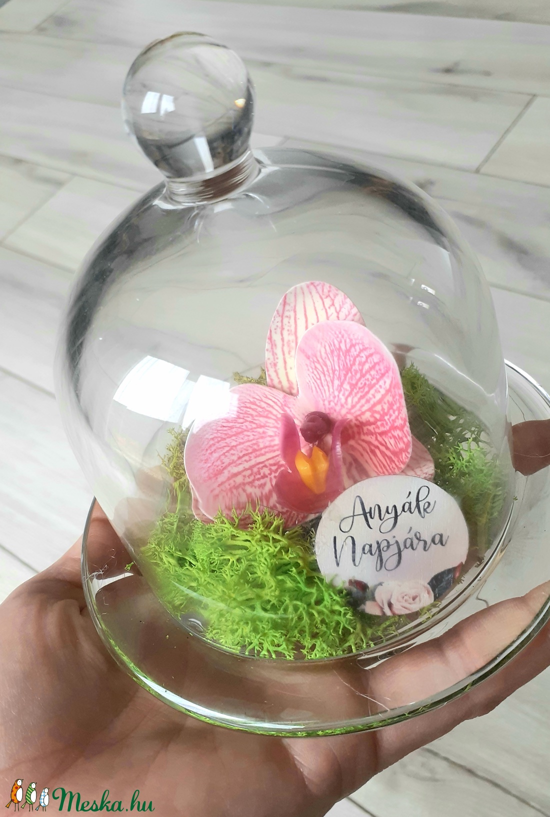 Örökvirág orchidea üvegbúra alatt, zuzmóval, anyák napjára - otthon & életmód - dekoráció - Meska.hu