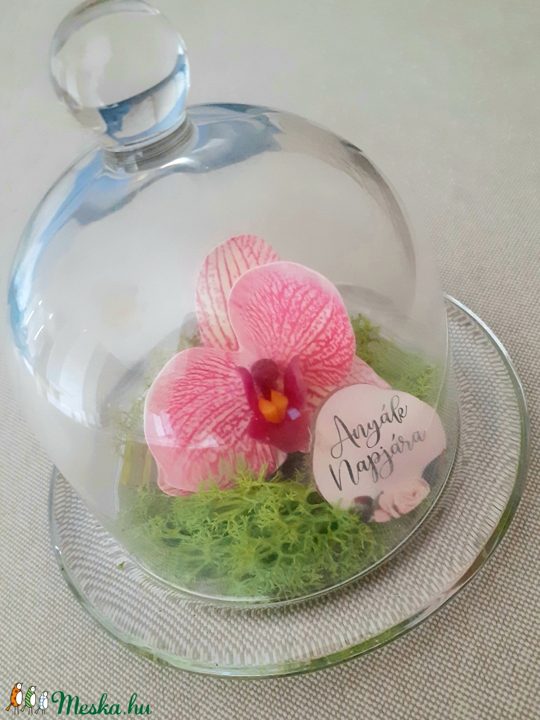 Örökvirág orchidea üvegbúra alatt, zuzmóval, anyák napjára - otthon & életmód - dekoráció - Meska.hu