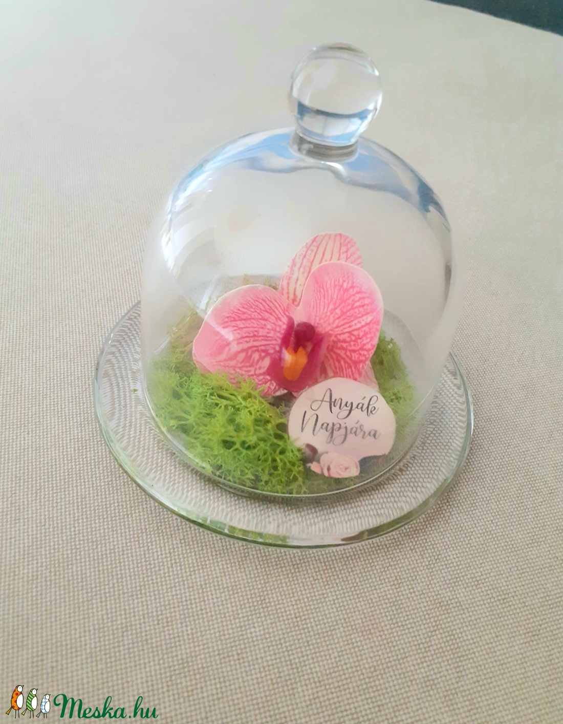 Örökvirág orchidea üvegbúra alatt, zuzmóval, anyák napjára - otthon & életmód - dekoráció - Meska.hu