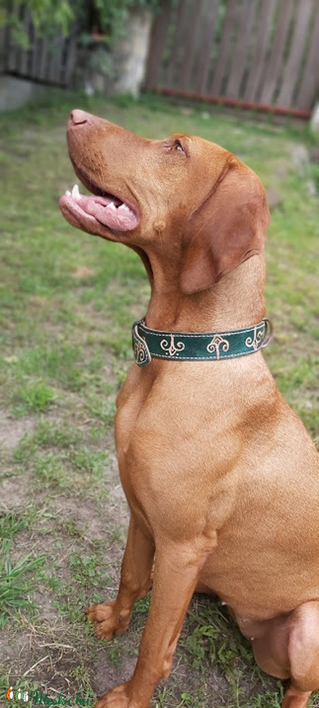 AKCIÓ! Sötétzöld bőr nyakörv közepes méretű kutyának - otthon & lakás - kisállatoknak - kutyáknak - Meska.hu