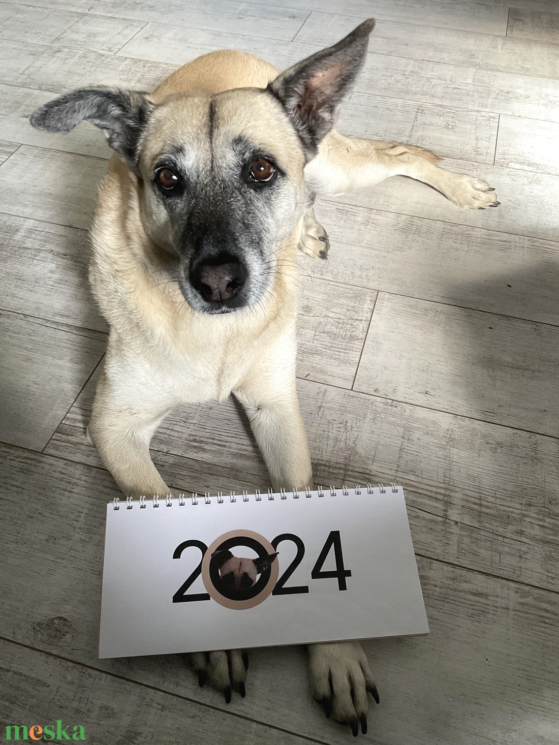 Egyedi, személyre szabott kutyás naptár 2027 � Saját kedvenced fotóiból, kreatív illusztrációkkal! � - otthon & életmód - papír, írószer - naptár & tervező - Meska.hu