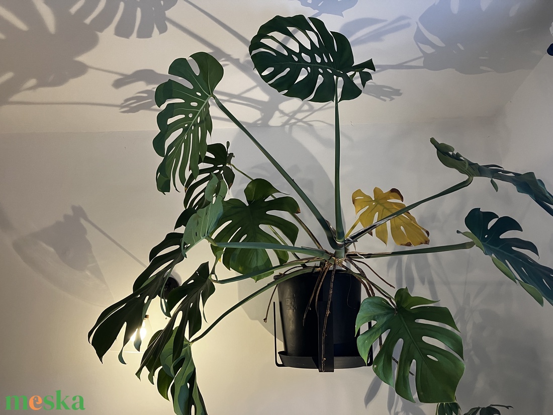 Fali virágtartó nagy - otthon & életmód - dekoráció - virágdísz és tartó - virágtartó - Meska.hu