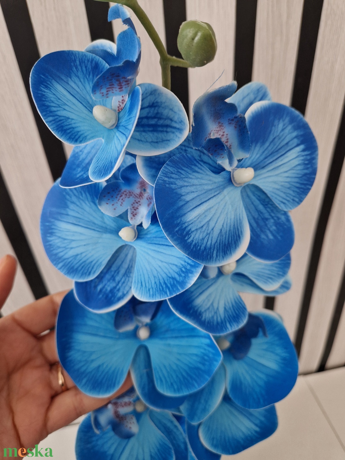 Örök Orchidea  - otthon & életmód - virágdekoráció - virágdíszek - virágdísz kaspóban - Meska.hu