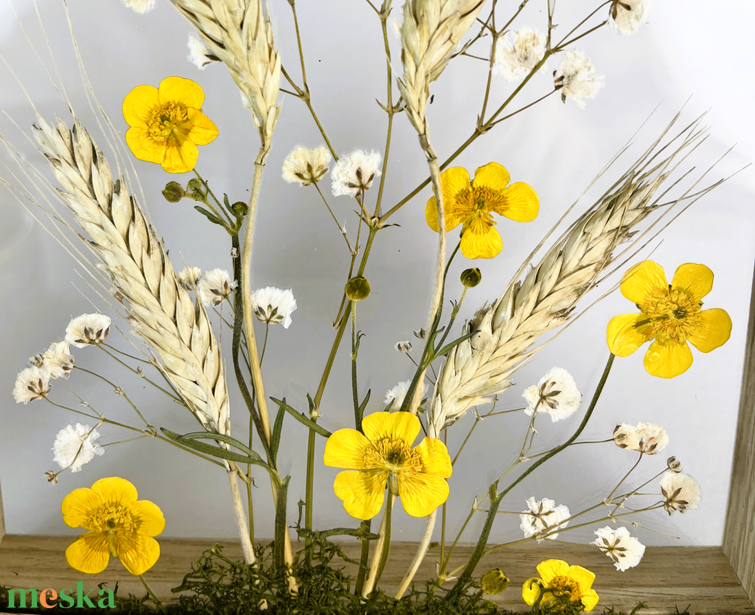 Préselt sárga boglárka virágok búzakalászokkal fa keretben 16 x 21 cm - otthon & életmód - dekoráció - kép & falikép - üvegkép - Meska.hu