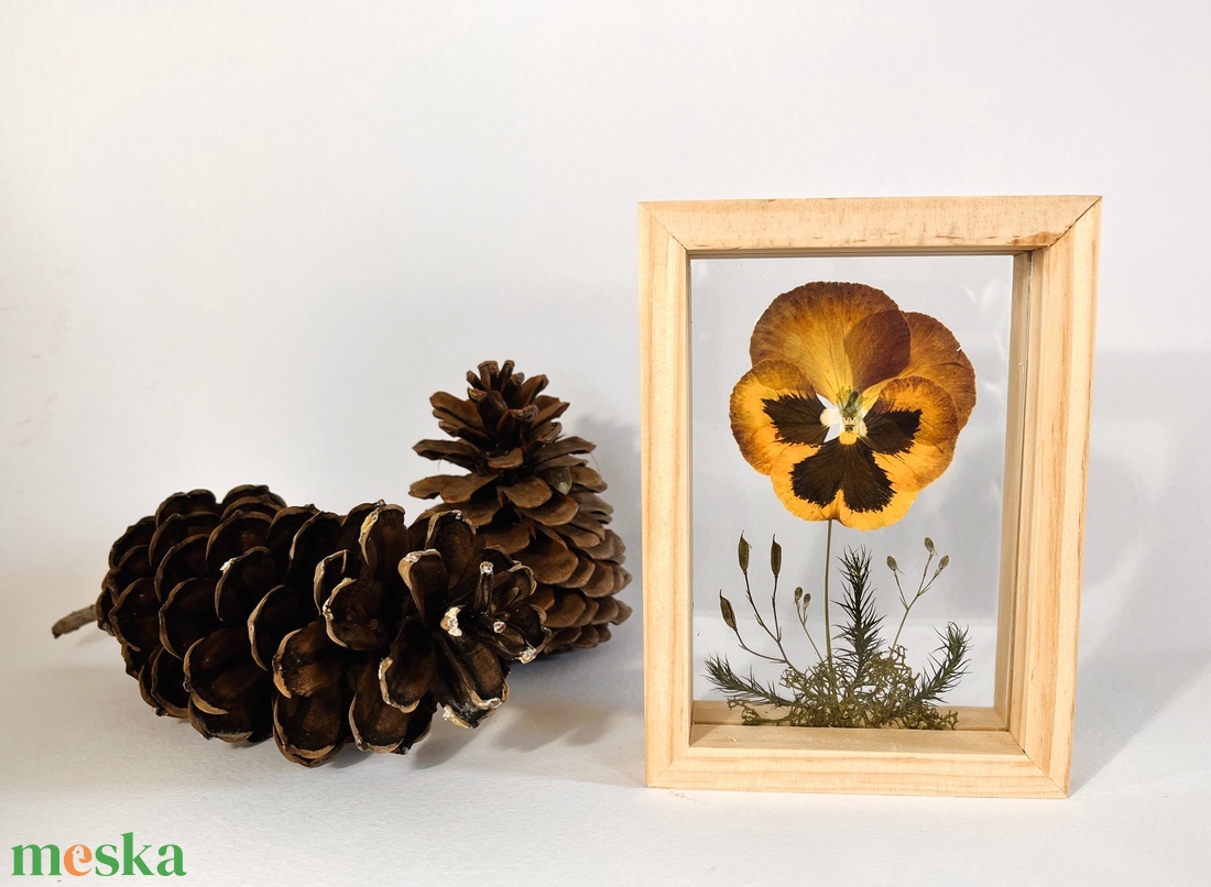 Préselt bordó árvácska natúr fa keretben 10.6 x 15 x 4.1 cm - otthon & életmód - dekoráció - kép & falikép - képkeret - Meska.hu Préselt bordó árvácska natúr fa keretben 10.6 x 15 x 4.1 cm - otthon & életmód - dekoráció - kép & falikép - képkeret - Meska.hu