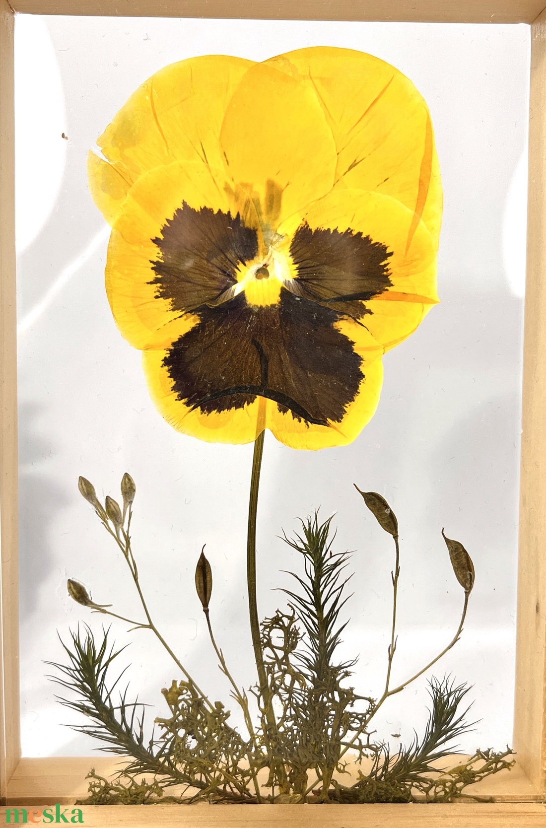 Préselt napsárga árvácska natúr fa keretben 10.6 x 15 x 4.1 cm - otthon & életmód - dekoráció - kép & falikép - képkeret - Meska.hu Préselt napsárga árvácska natúr fa keretben 10.6 x 15 x 4.1 cm - otthon & életmód - dekoráció - kép & falikép - képkeret - Meska.hu