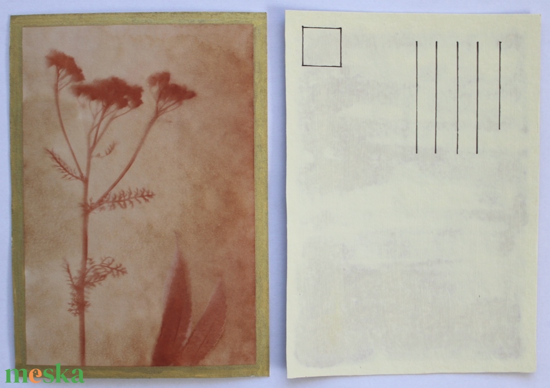 Növénylenyomat - eco art képeslap - otthon & életmód - papír, írószer - ajándékozás kellékei - képeslap, üdvözlőlap - Meska.hu