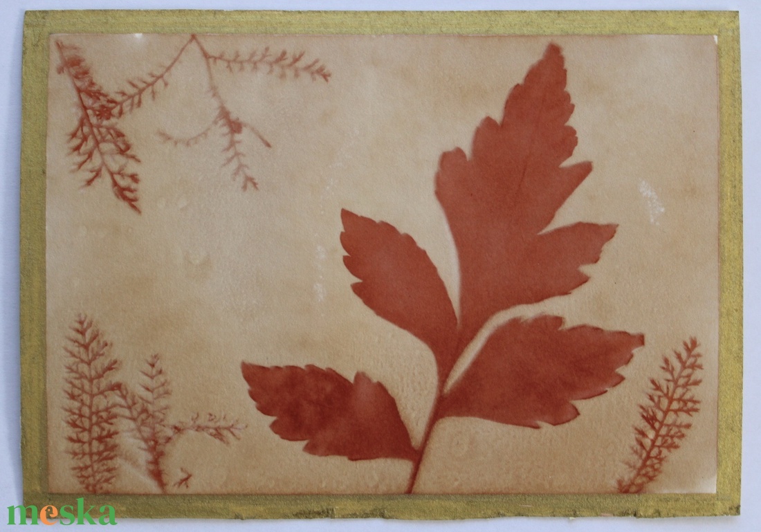 Növénylenyomat - eco art képeslap - otthon & életmód - papír, írószer - ajándékozás kellékei - képeslap, üdvözlőlap - Meska.hu