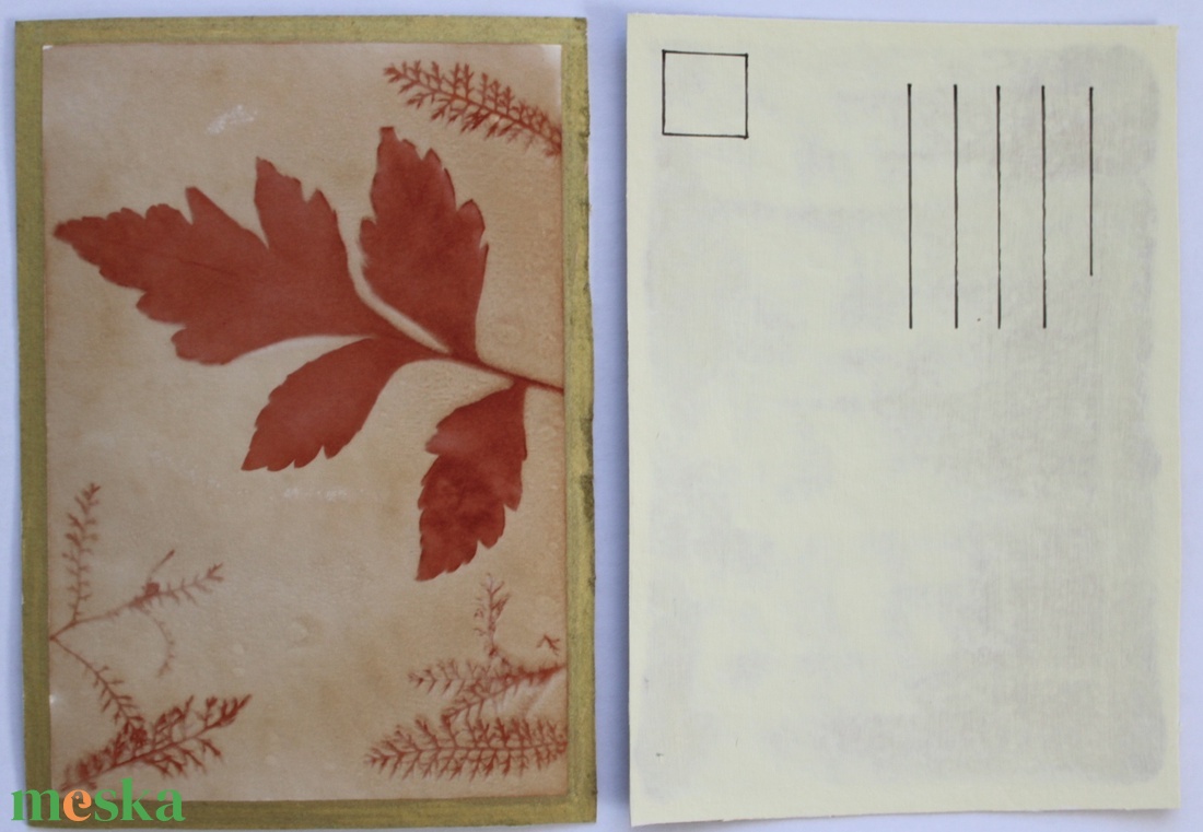 Növénylenyomat - eco art képeslap - otthon & életmód - papír, írószer - ajándékozás kellékei - képeslap, üdvözlőlap - Meska.hu