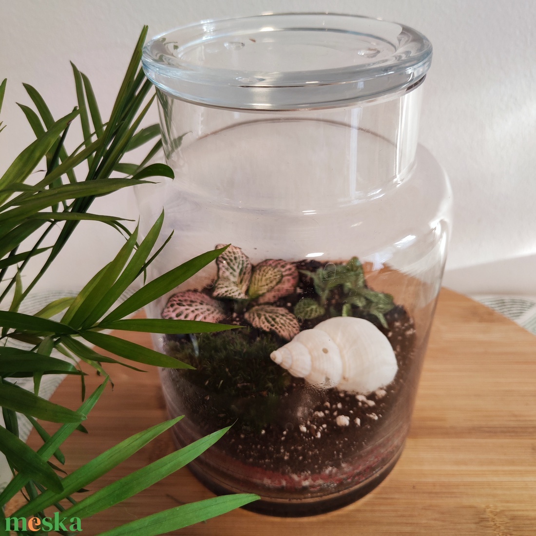 Florárium kagylóval - otthon & életmód - dekoráció - asztal és polc dekoráció - florárium, terrárium - Meska.hu