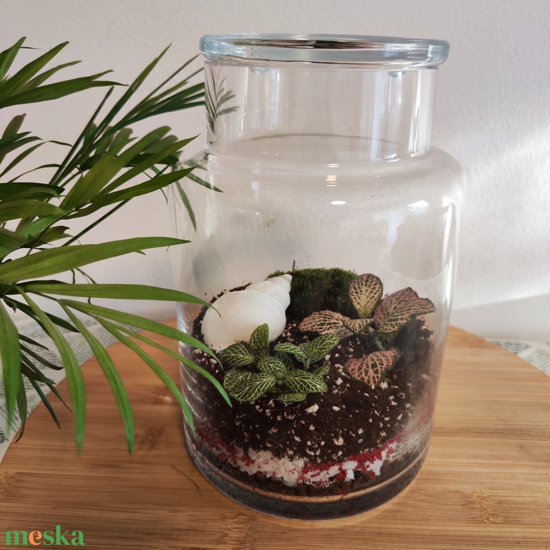 Florárium kagylóval - otthon & életmód - dekoráció - asztal és polc dekoráció - florárium, terrárium - Meska.hu