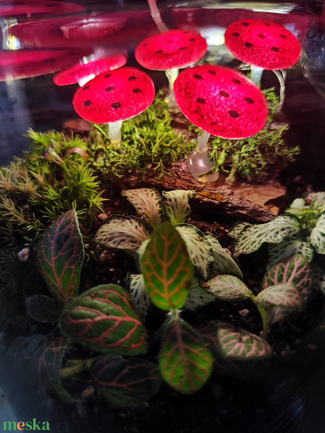 Világító gombás florárium - otthon & életmód - dekoráció - asztal és polc dekoráció - florárium, terrárium - Meska.hu