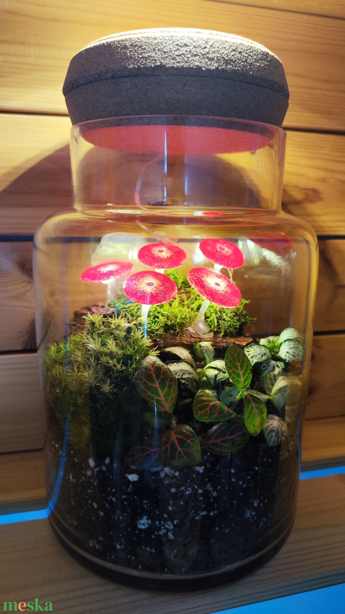 Világító gombás florárium - otthon & életmód - dekoráció - asztal és polc dekoráció - florárium, terrárium - Meska.hu