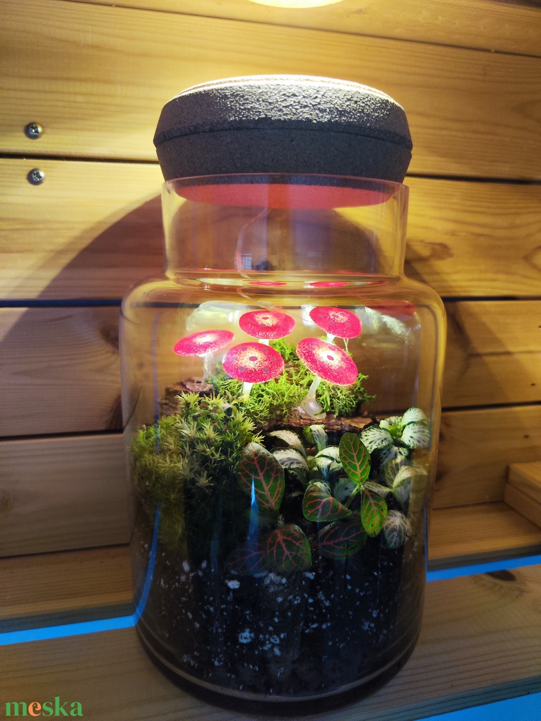 Világító gombás florárium - otthon & életmód - dekoráció - asztal és polc dekoráció - florárium, terrárium - Meska.hu