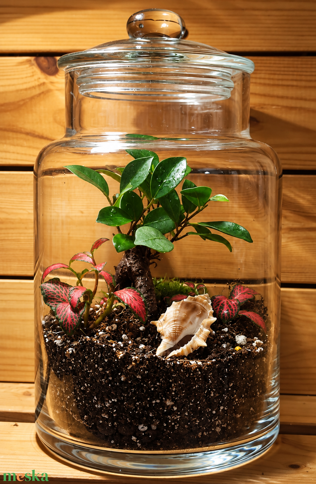 Ficus ginseng florárium - otthon & életmód - dekoráció - asztal és polc dekoráció - florárium, terrárium - Meska.hu