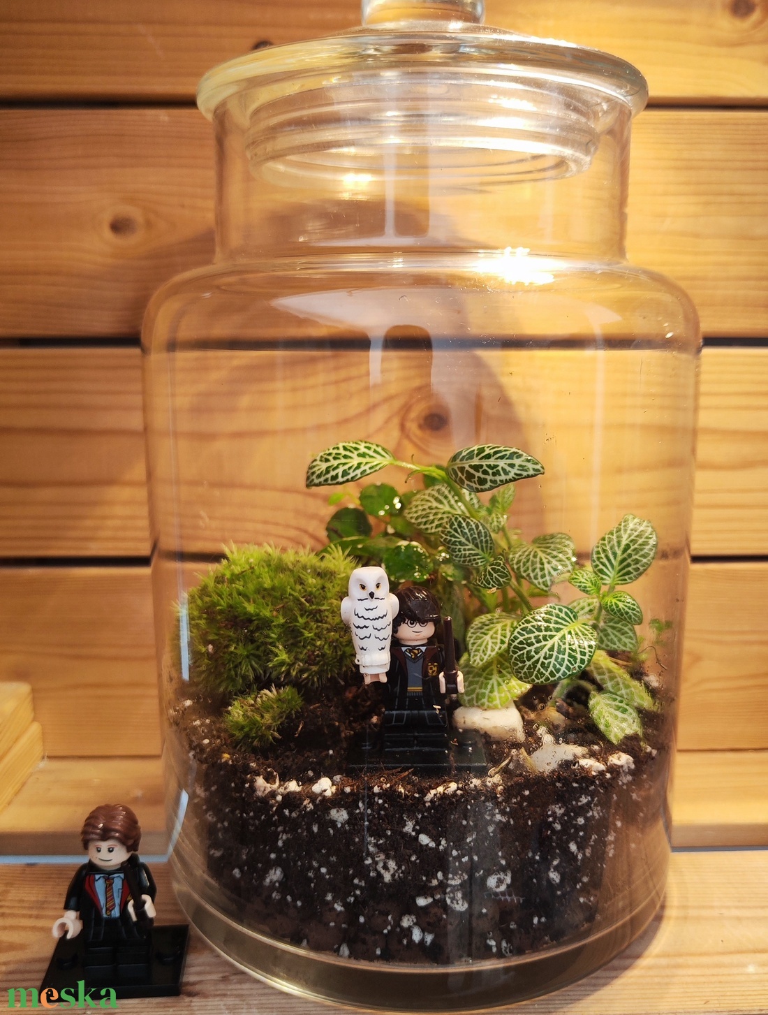 Florárium Harry Potter figurával - otthon & életmód - dekoráció - asztal és polc dekoráció - florárium, terrárium - Meska.hu