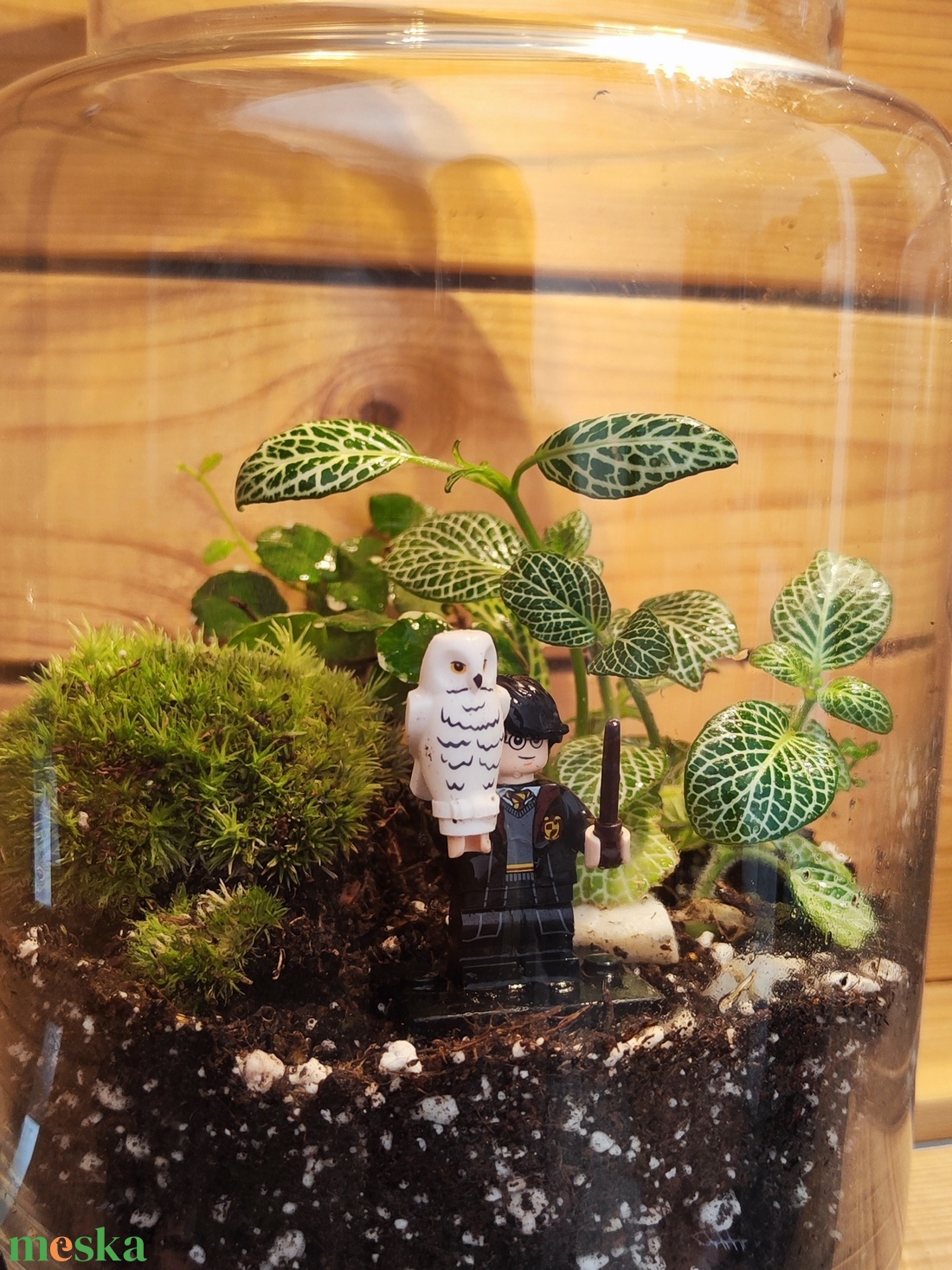 Florárium Harry Potter figurával - otthon & életmód - dekoráció - asztal és polc dekoráció - florárium, terrárium - Meska.hu