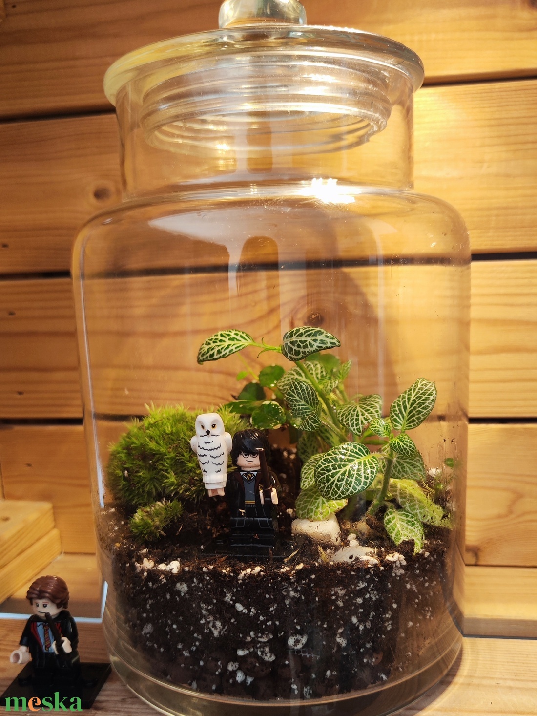 Florárium Harry Potter figurával - otthon & életmód - dekoráció - asztal és polc dekoráció - florárium, terrárium - Meska.hu