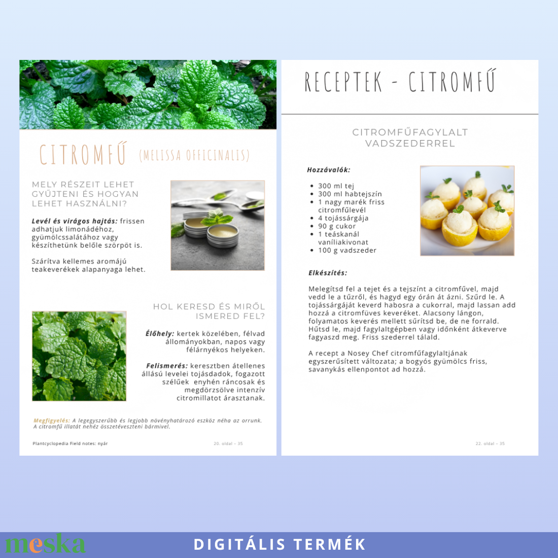 Nyári ehető vadnövények � 9 növény, 18 recept és gyűjtési útmutató (PDF) - otthon & életmód - konyhafelszerelés, tálalás - sütés, főzés - receptfüzet - Meska.hu