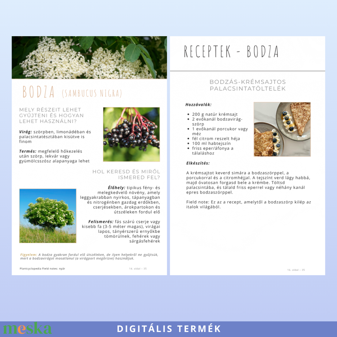 Nyári ehető vadnövények � 9 növény, 18 recept és gyűjtési útmutató (PDF) - otthon & életmód - konyhafelszerelés, tálalás - sütés, főzés - receptfüzet - Meska.hu