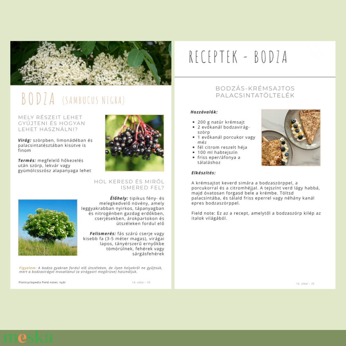 Nyári ehető vadnövények � 9 növény, 18 recept és gyűjtési útmutató (PDF) - otthon & életmód - konyhafelszerelés, tálalás - sütés, főzés - receptfüzet - Meska.hu