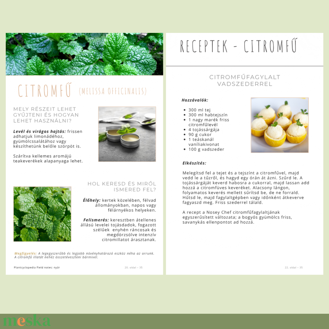 Nyári ehető vadnövények � 9 növény, 18 recept és gyűjtési útmutató (PDF) - otthon & életmód - konyhafelszerelés, tálalás - sütés, főzés - receptfüzet - Meska.hu