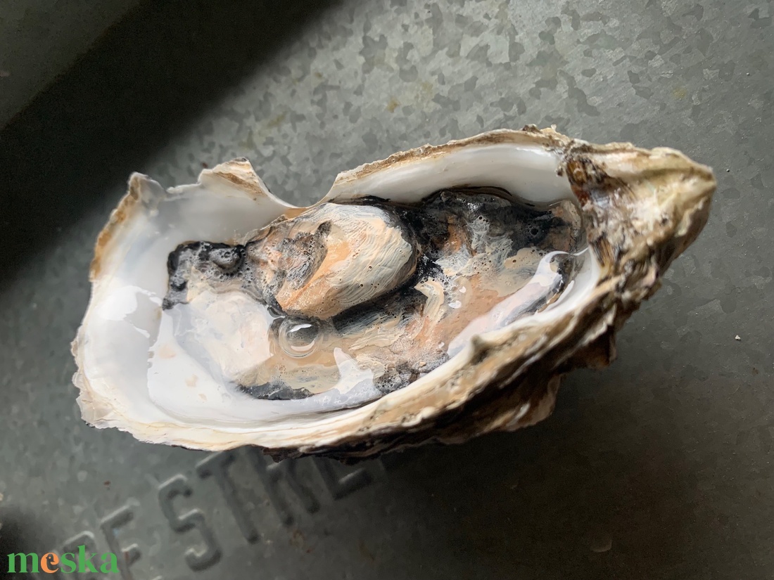 Fake osztriga - otthon & életmód - konyhafelszerelés, tálalás - konyhai dekoráció - konyhai dísz - Meska.hu