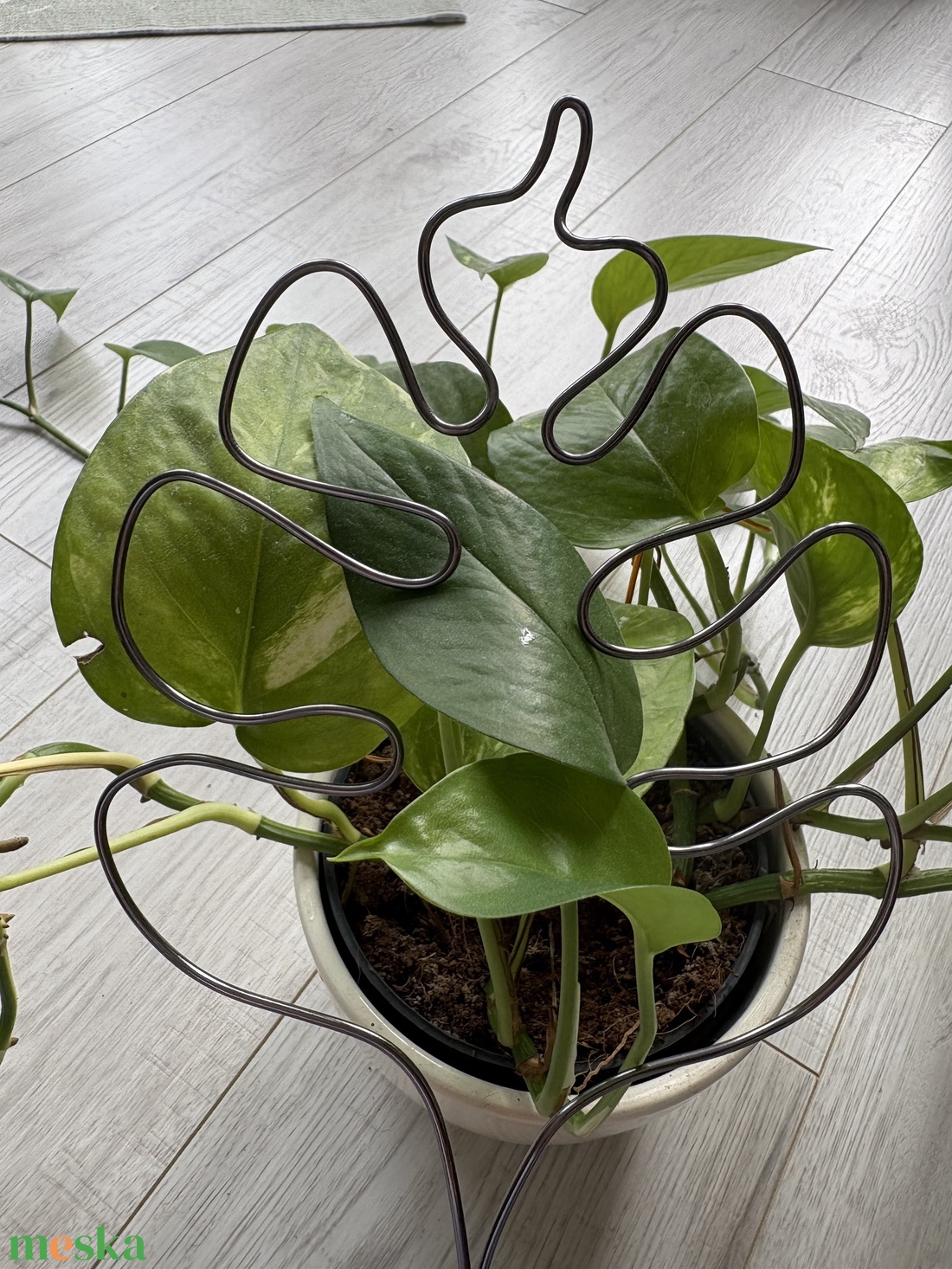 Grafit monstrea álló - otthon & életmód - dekoráció - virágdísz és tartó - virágtartó - Meska.hu