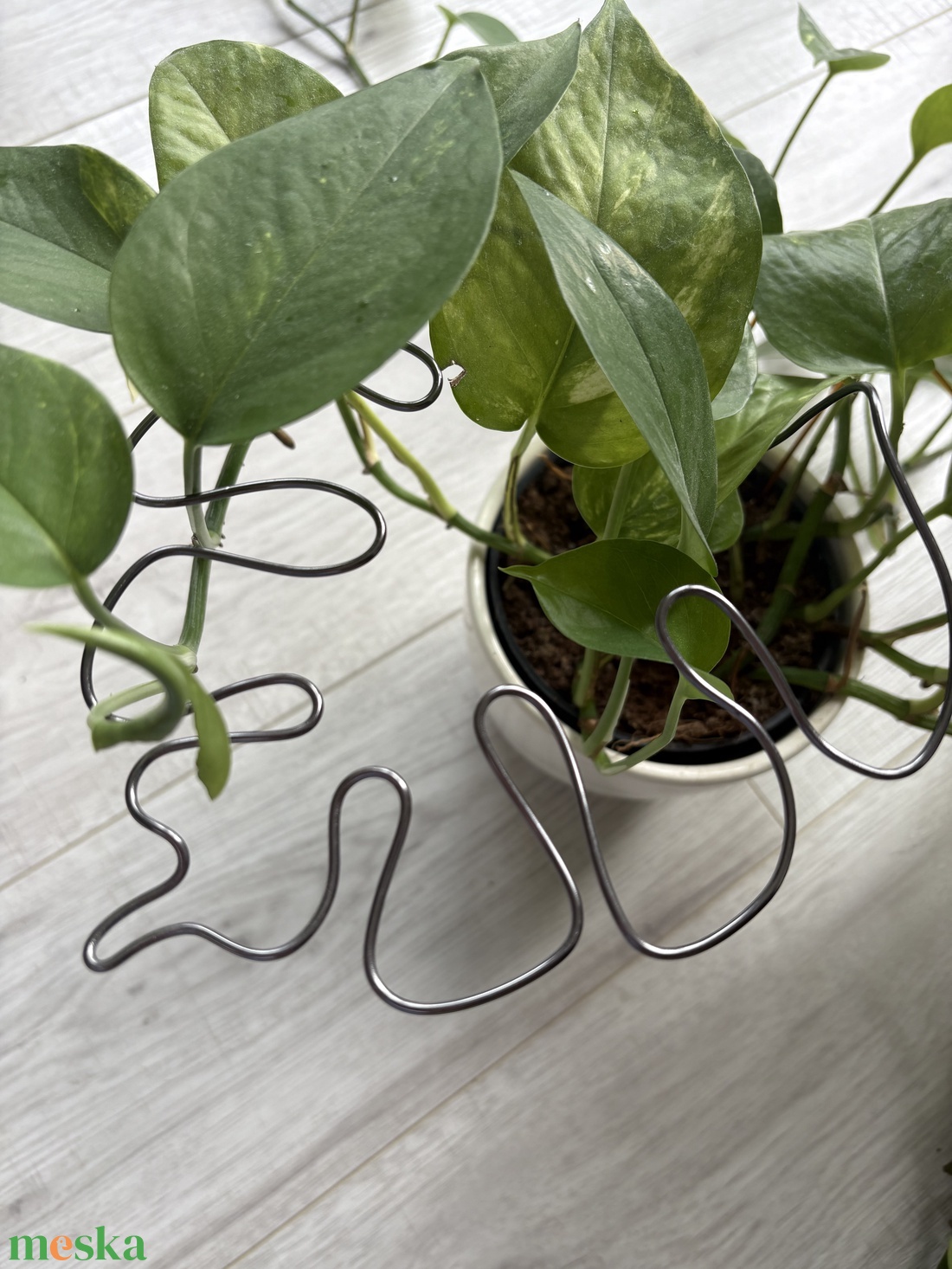 Grafit monstrea körülölelő - otthon & életmód - dekoráció - virágdísz és tartó - virágtartó - Meska.hu Grafit monstrea körülölelő - otthon & életmód - dekoráció - virágdísz és tartó - virágtartó - Meska.hu