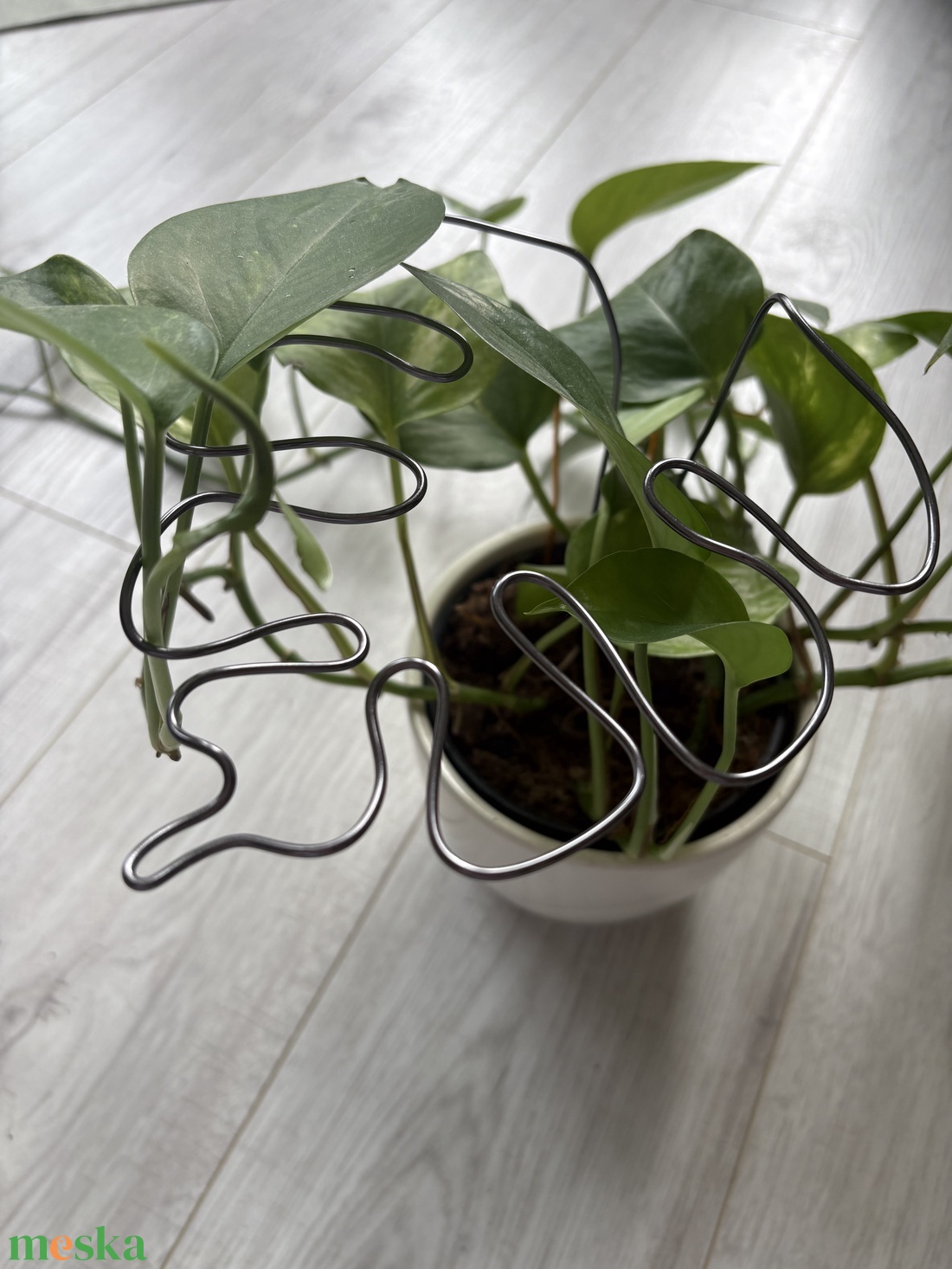 Grafit monstrea körülölelő - otthon & életmód - dekoráció - virágdísz és tartó - virágtartó - Meska.hu Grafit monstrea körülölelő - otthon & életmód - dekoráció - virágdísz és tartó - virágtartó - Meska.hu