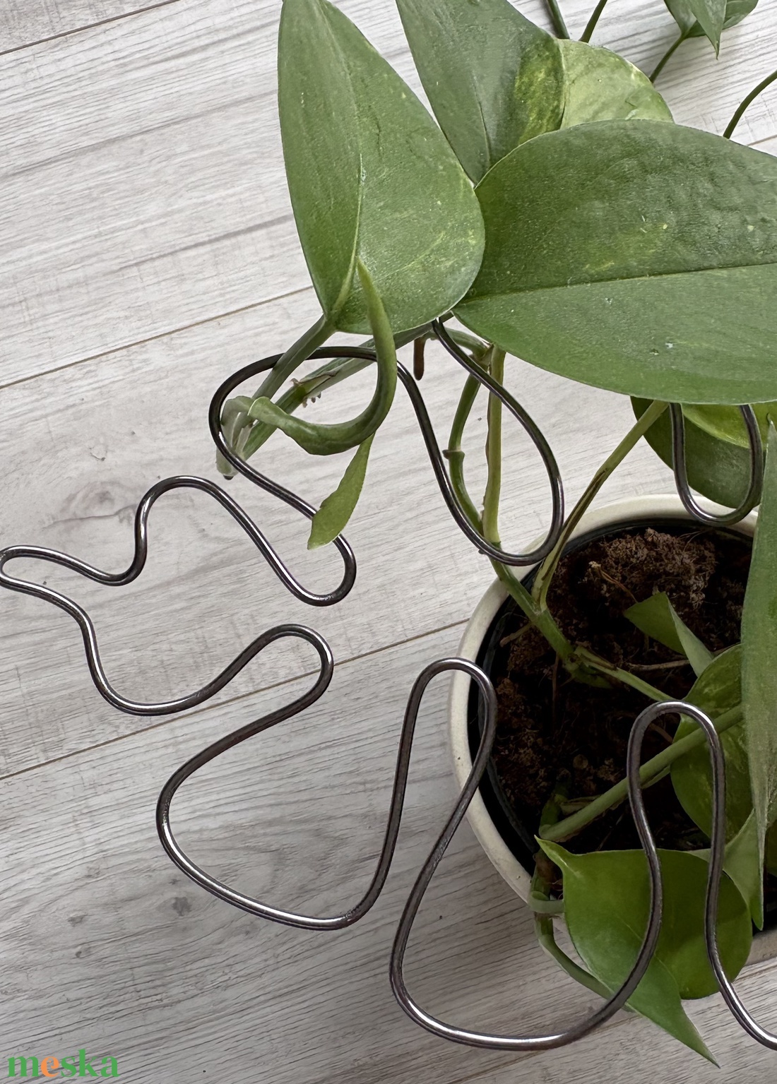 Grafit monstrea körülölelő - otthon & életmód - dekoráció - virágdísz és tartó - virágtartó - Meska.hu Grafit monstrea körülölelő - otthon & életmód - dekoráció - virágdísz és tartó - virágtartó - Meska.hu