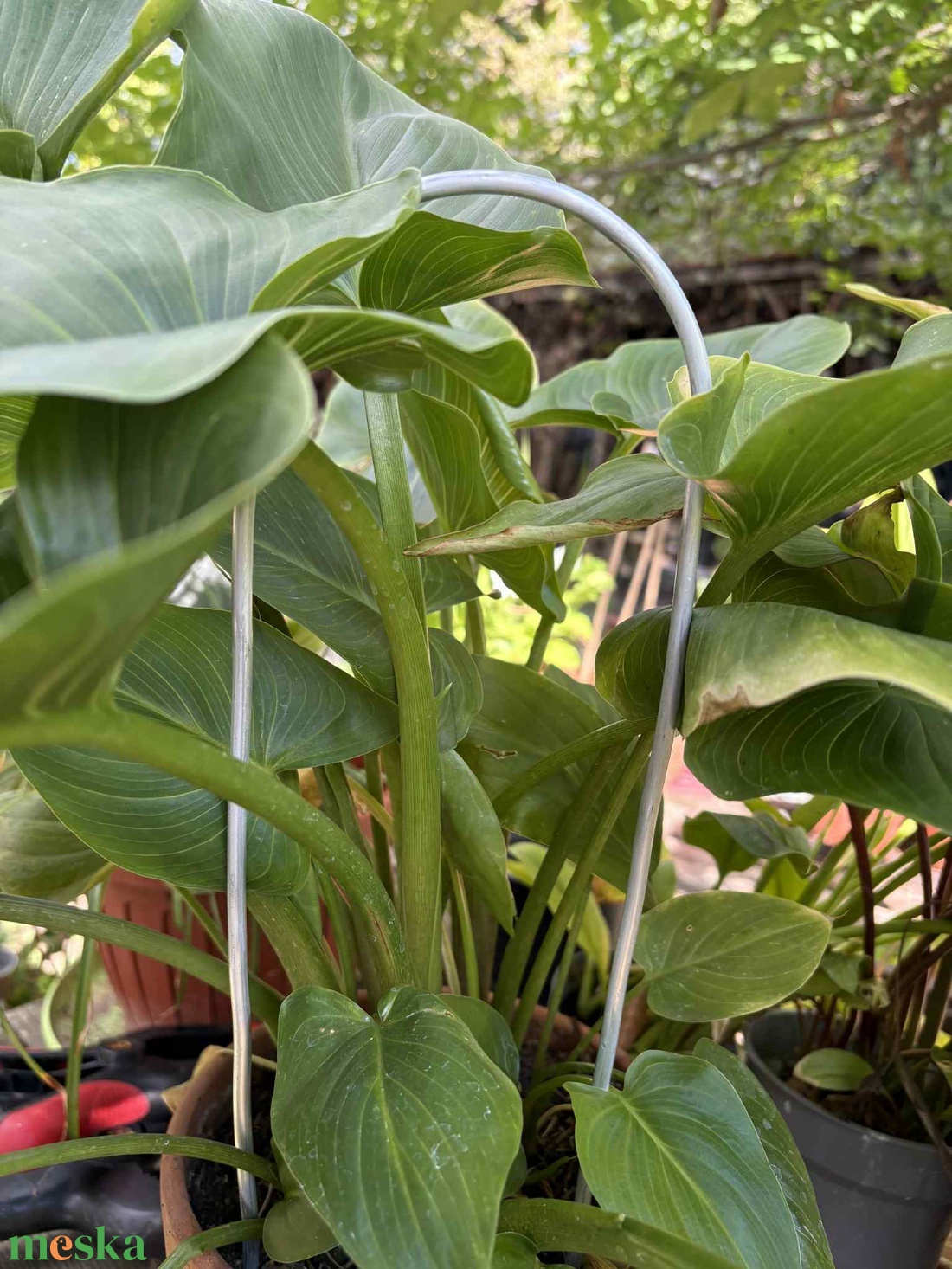 Arcadia matt ezüst - otthon & életmód - dekoráció - virágdísz és tartó - virágtartó - Meska.hu Arcadia matt ezüst - otthon & életmód - dekoráció - virágdísz és tartó - virágtartó - Meska.hu