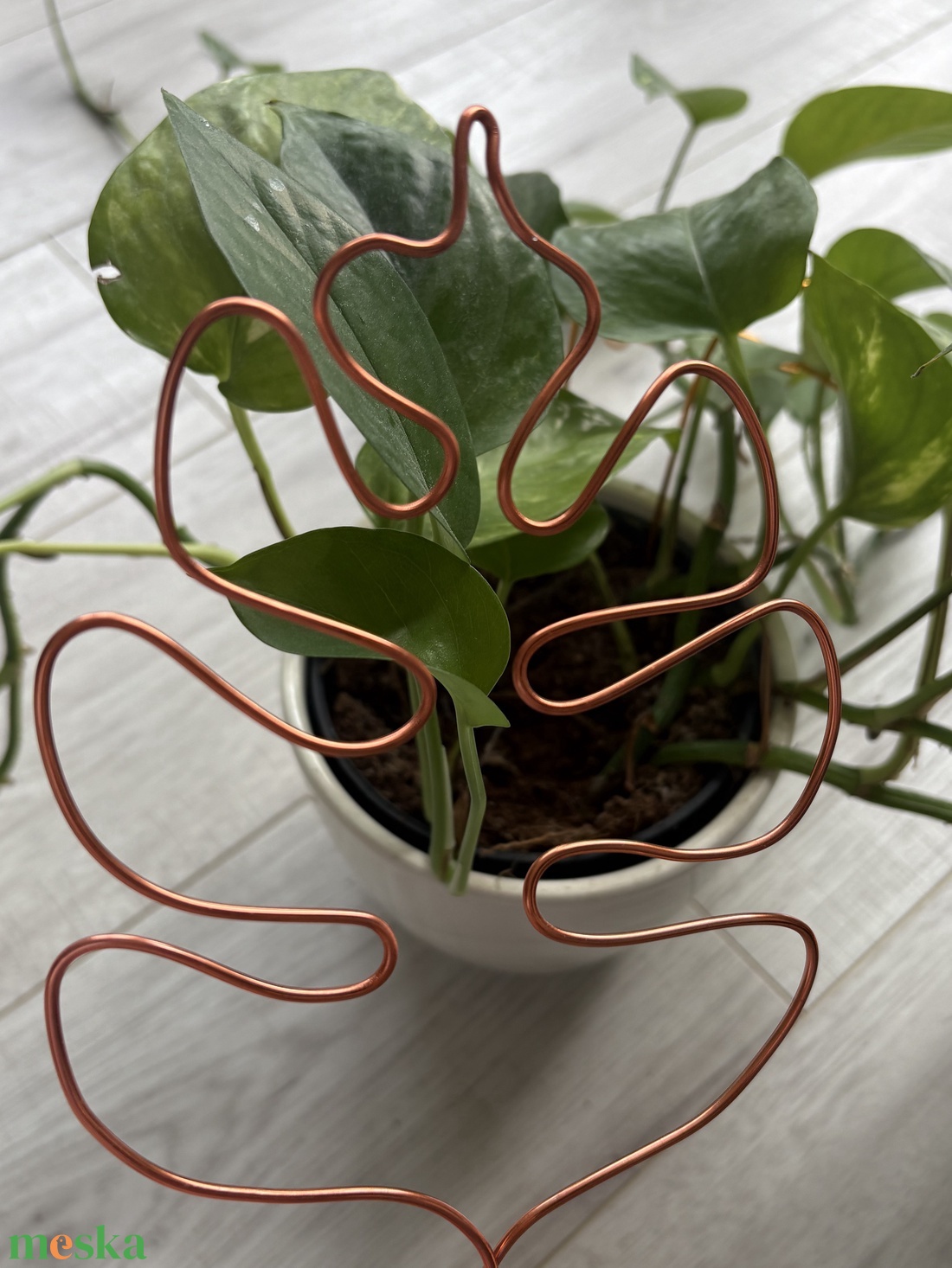Réz monstrea körülölelő - otthon & életmód - dekoráció - virágdísz és tartó - virágtartó - Meska.hu Réz monstrea körülölelő - otthon & életmód - dekoráció - virágdísz és tartó - virágtartó - Meska.hu
