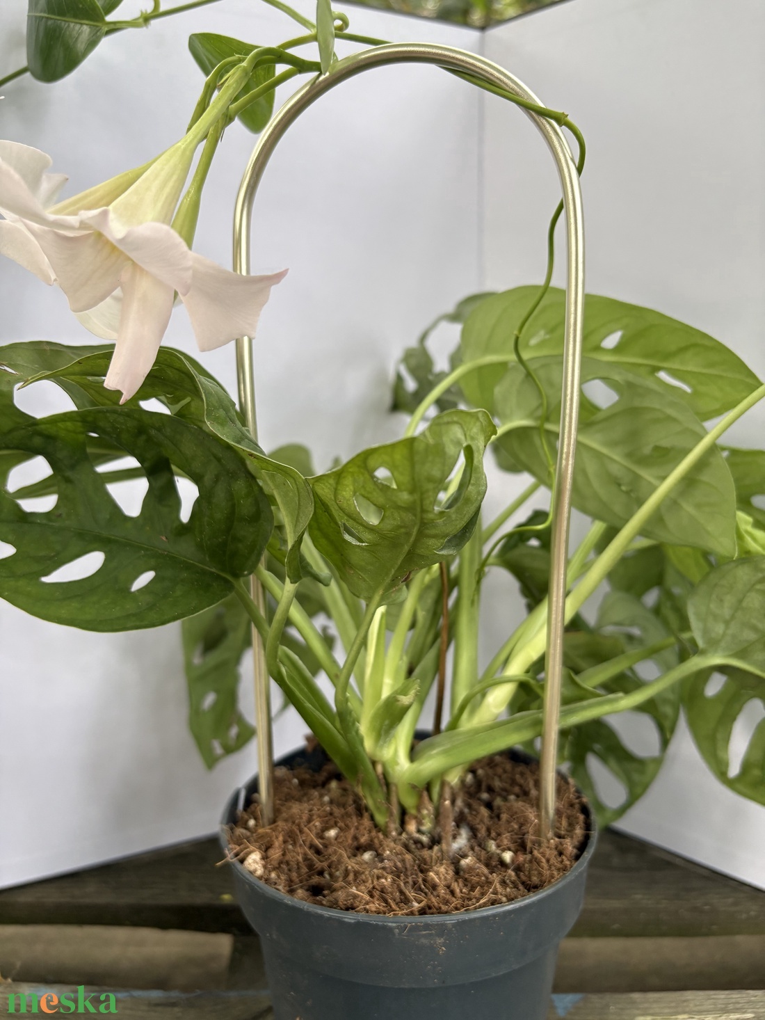 Arcadia arany - otthon & életmód - dekoráció - virágdísz és tartó - virágtartó - Meska.hu Arcadia arany - otthon & életmód - dekoráció - virágdísz és tartó - virágtartó - Meska.hu