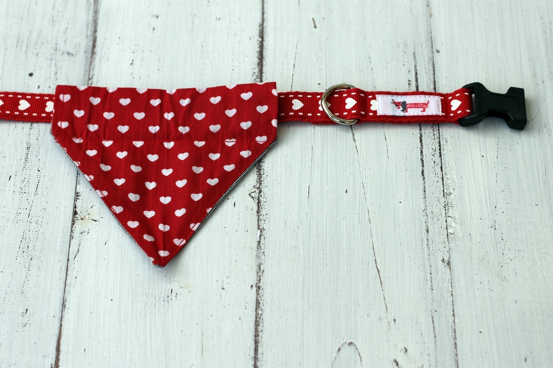 Polka Dog kutyakendő - nyakörvre húzható, M-es  -  - Meska.hu