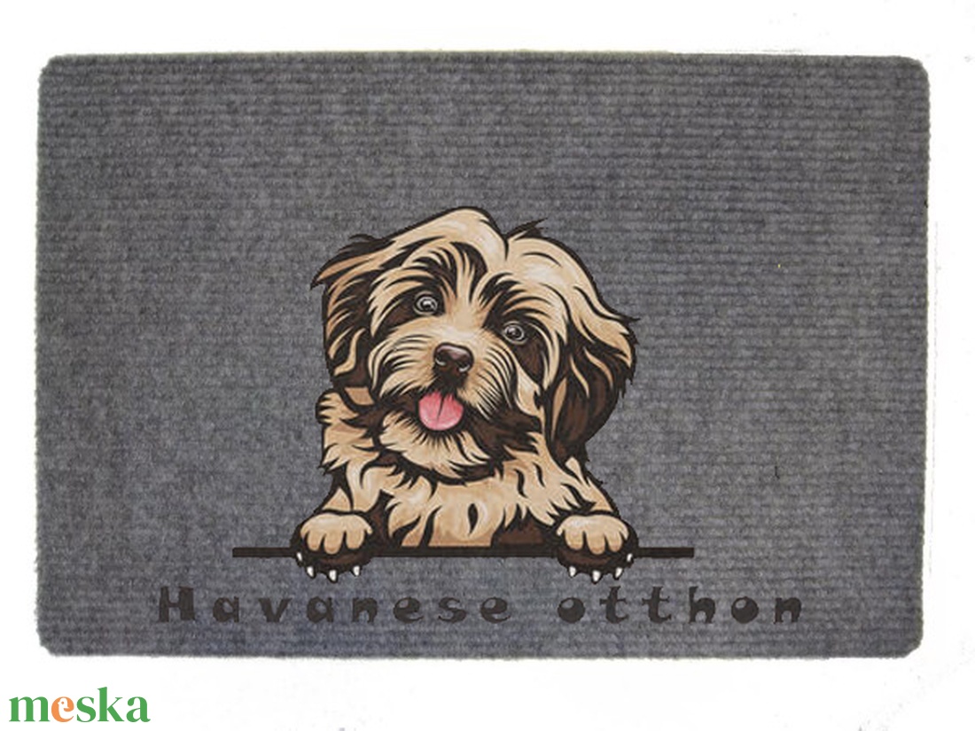 Havanese/tacskó lábtörlő - otthon & életmód - dekoráció - ajtó- és ablak dekoráció - ajtódísz & kopogtató - Meska.hu Havanese/tacskó lábtörlő - otthon & életmód - dekoráció - ajtó- és ablak dekoráció - ajtódísz & kopogtató - Meska.hu