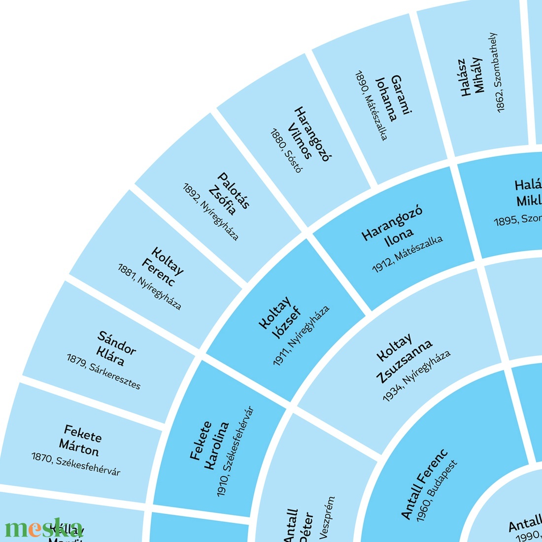 Személyre szabható 5 generációs családfa, választható pasztell színekben, legyeződiagram formában, A3-as méretben - művészet - grafika & illusztráció - digitális - Meska.hu