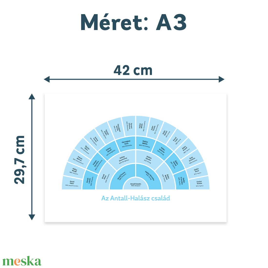 Személyre szabható 5 generációs családfa, választható pasztell színekben, legyeződiagram formában, A3-as méretben - művészet - grafika & illusztráció - digitális - Meska.hu