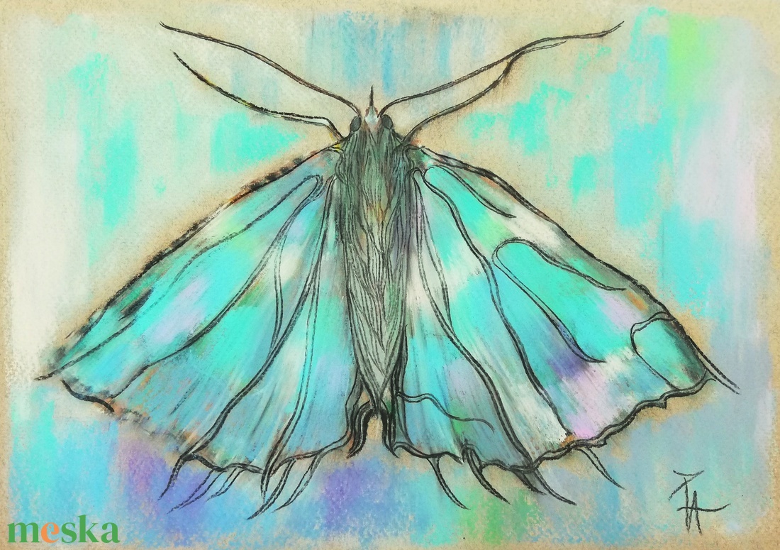 Tanulmány - pillangó - művészet - festmény - pasztell - Meska.hu