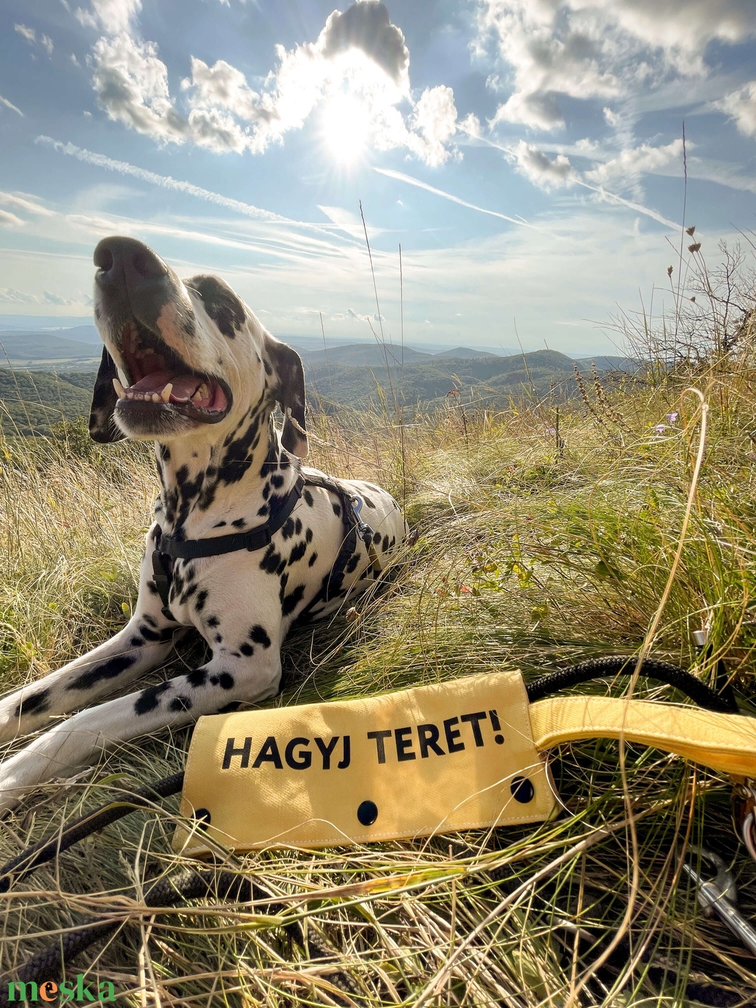 hagyj teret pórázfelirat reaktív kutyusoknak - otthon & életmód - kisállatoknak - kutyáknak - kutya póráz - Meska.hu