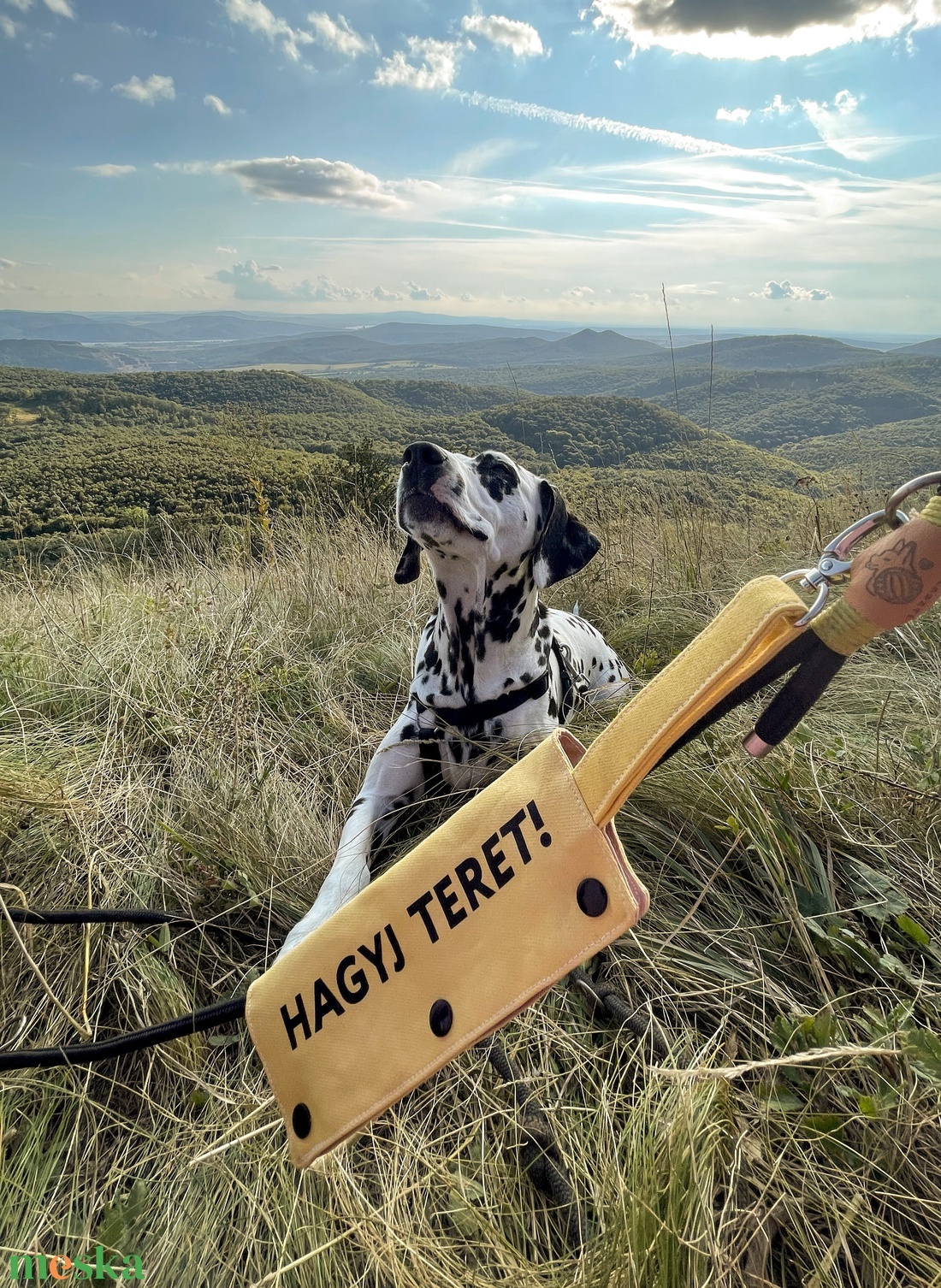 hagyj teret pórázfelirat reaktív kutyusoknak - otthon & életmód - kisállatoknak - kutyáknak - kutya póráz - Meska.hu