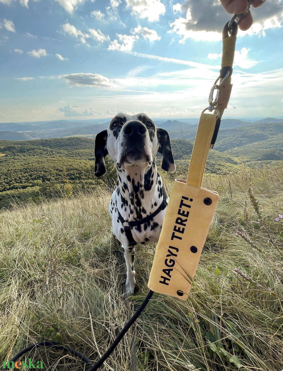 hagyj teret pórázfelirat reaktív kutyusoknak - otthon & életmód - kisállatoknak - kutyáknak - kutya póráz - Meska.hu
