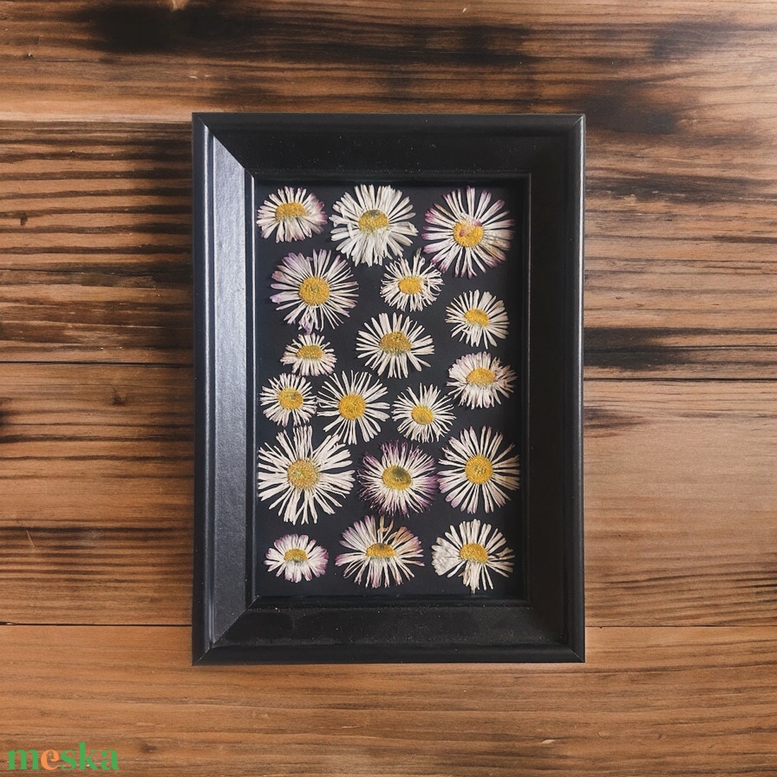 Préselt százszorszép - otthon & életmód - dekoráció - kép & falikép - 3d képek - Meska.hu