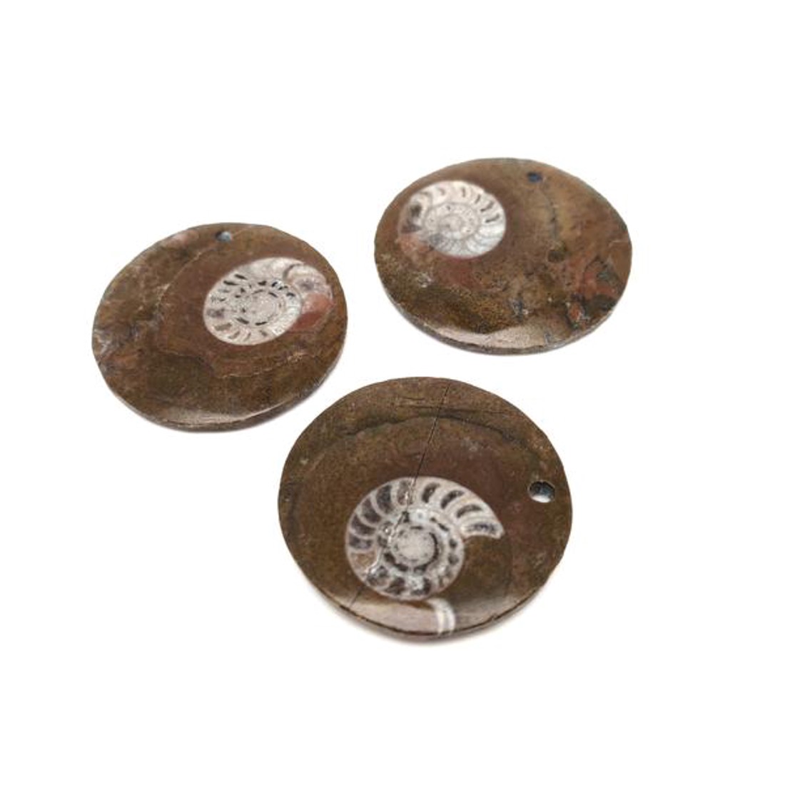 Medál ammonitesz kerek 4cm - ékszer - nyaklánc - medál - Meska.hu