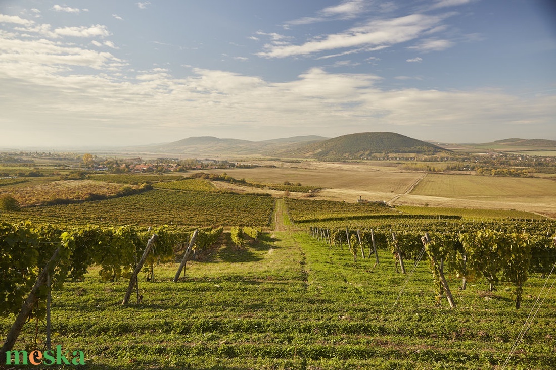  Akvarell festmény, Tokaj, Haza, Bor, Borászat, - művészet - festmény - akvarell - Meska.hu