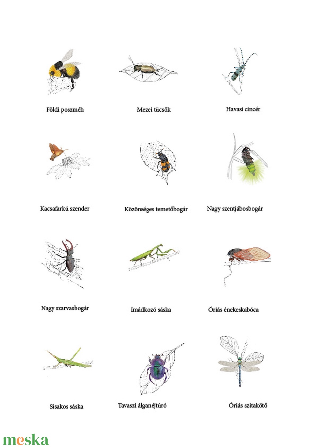 Rovarok faliképek - otthon & életmód - dekoráció - fali és függő dekoráció - falra akasztható dekor - Meska.hu