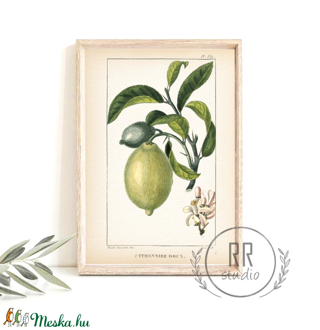 Lime, Vintage Botanikai illusztráció, otthoni dekoráció falikép, KERET NÉLKÜL - otthon & életmód - dekoráció - fali és függő dekoráció - falra akasztható dekor - Meska.hu Lime, Vintage Botanikai illusztráció, otthoni dekoráció falikép, KERET NÉLKÜL - otthon & életmód - dekoráció - fali és függő dekoráció - falra akasztható dekor - Meska.hu