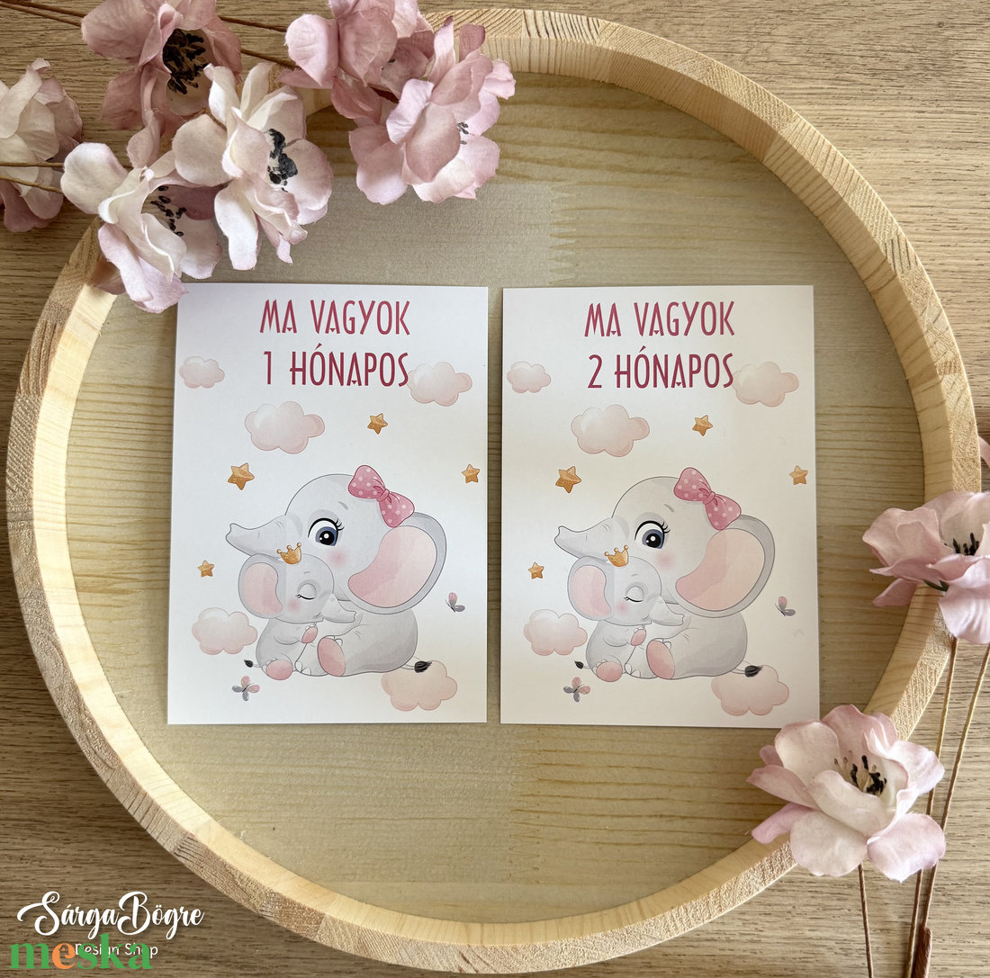 Rózsaszín elefántos hónapkártya és mérföldkő kártya 21db - baba - mama - babafotózás - baba mérföldkő kártyák - Meska.hu